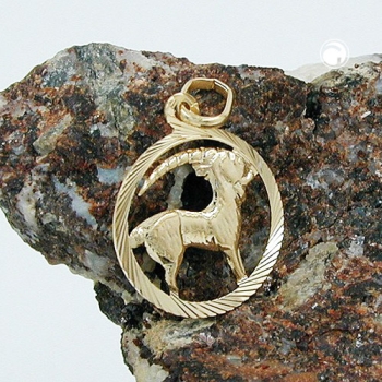 Anhänger 15mm Sternzeichen Steinbock 9Kt GOLD