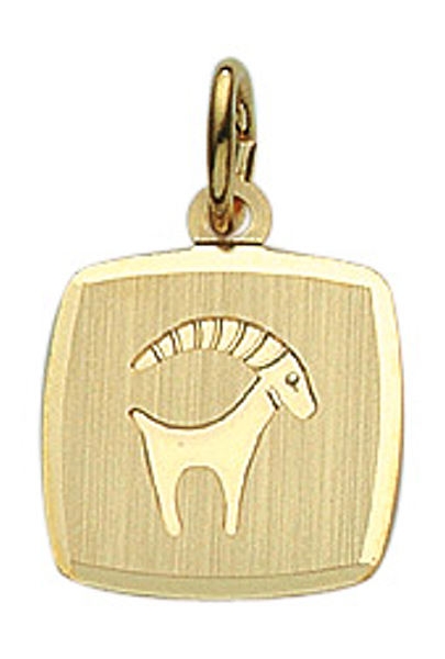 Anhänger Sternzeichen Steinbock eckig 11x10mm 8Kt 333 GOLD