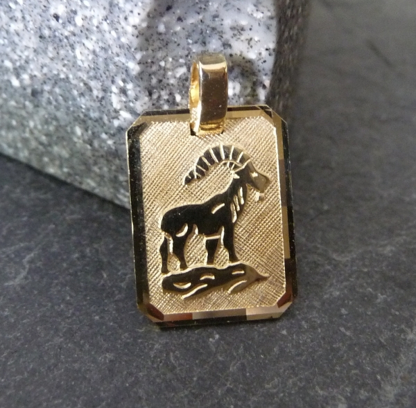 Anhänger Sternzeichen eckig 12x16mm Steinbock 8Kt 333 GOLD